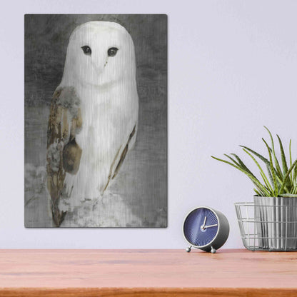 Luxe Metal Art 'Snowy Owl 1' by Stellar Design Studio, Metal Wall Art,12x16
