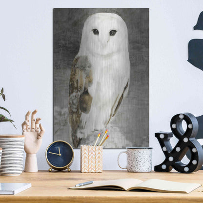 Luxe Metal Art 'Snowy Owl 1' by Stellar Design Studio, Metal Wall Art,12x16