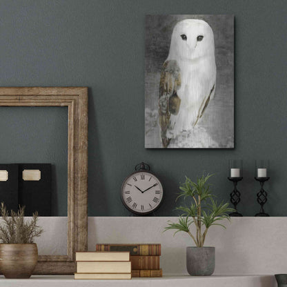 Luxe Metal Art 'Snowy Owl 1' by Stellar Design Studio, Metal Wall Art,12x16
