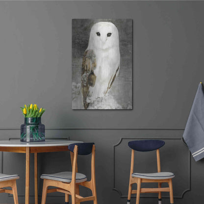 Luxe Metal Art 'Snowy Owl 1' by Stellar Design Studio, Metal Wall Art,24x36