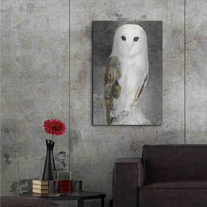 Luxe Metal Art 'Snowy Owl 1' by Stellar Design Studio, Metal Wall Art,24x36
