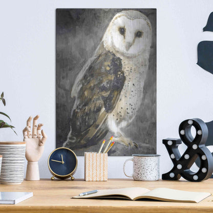 Luxe Metal Art 'Snowy Owl 2' by Stellar Design Studio, Metal Wall Art,12x16