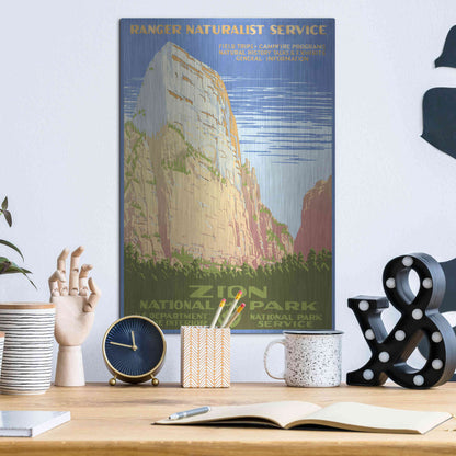 Luxe Metal Art 'Zion National Park' by Stellar Design Studio, Metal Wall Art,12x16