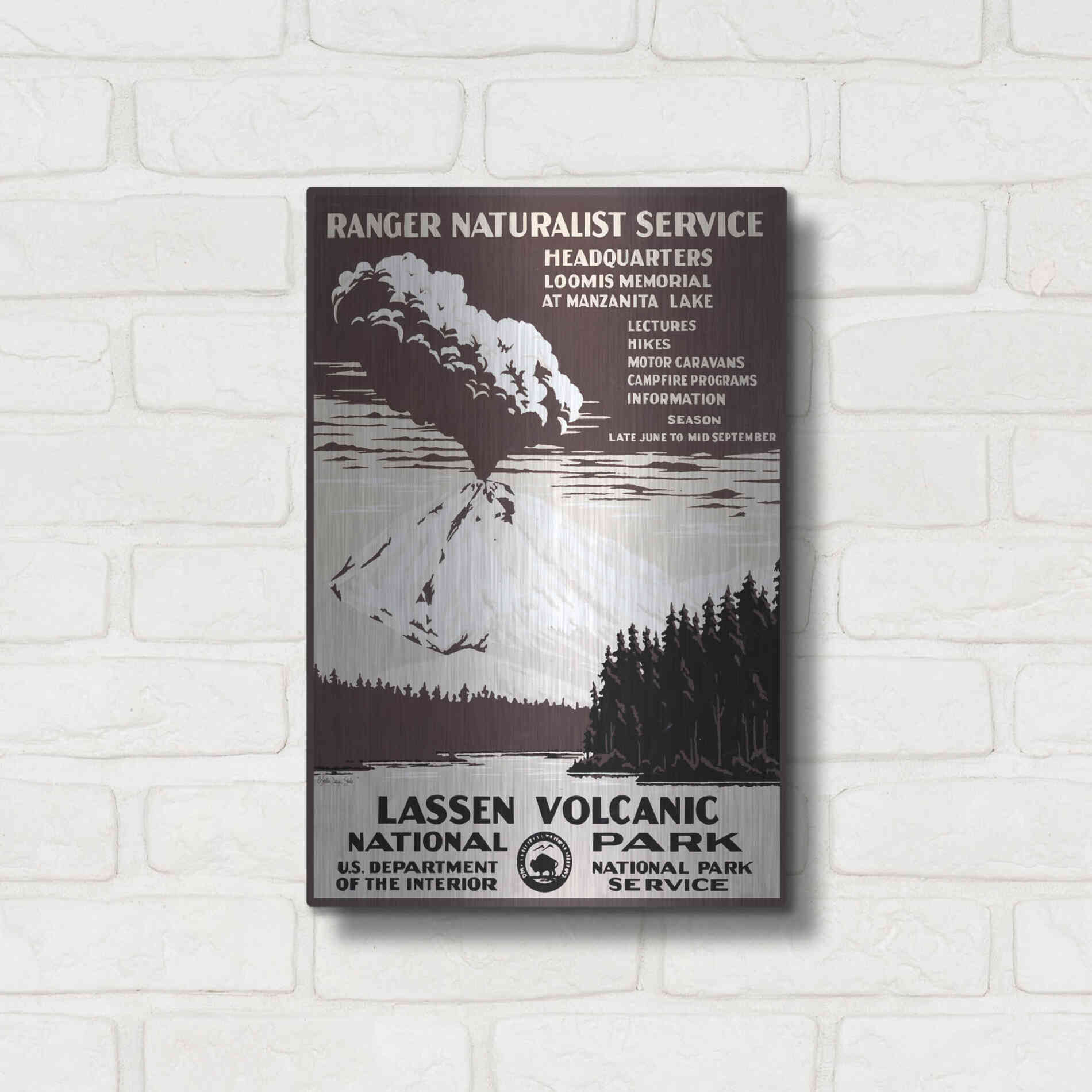 Luxe Metal Art 'Lessen Volcanic Park' by Stellar Design Studio, Metal Wall Art,12x16