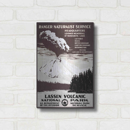 Luxe Metal Art 'Lessen Volcanic Park' by Stellar Design Studio, Metal Wall Art,12x16