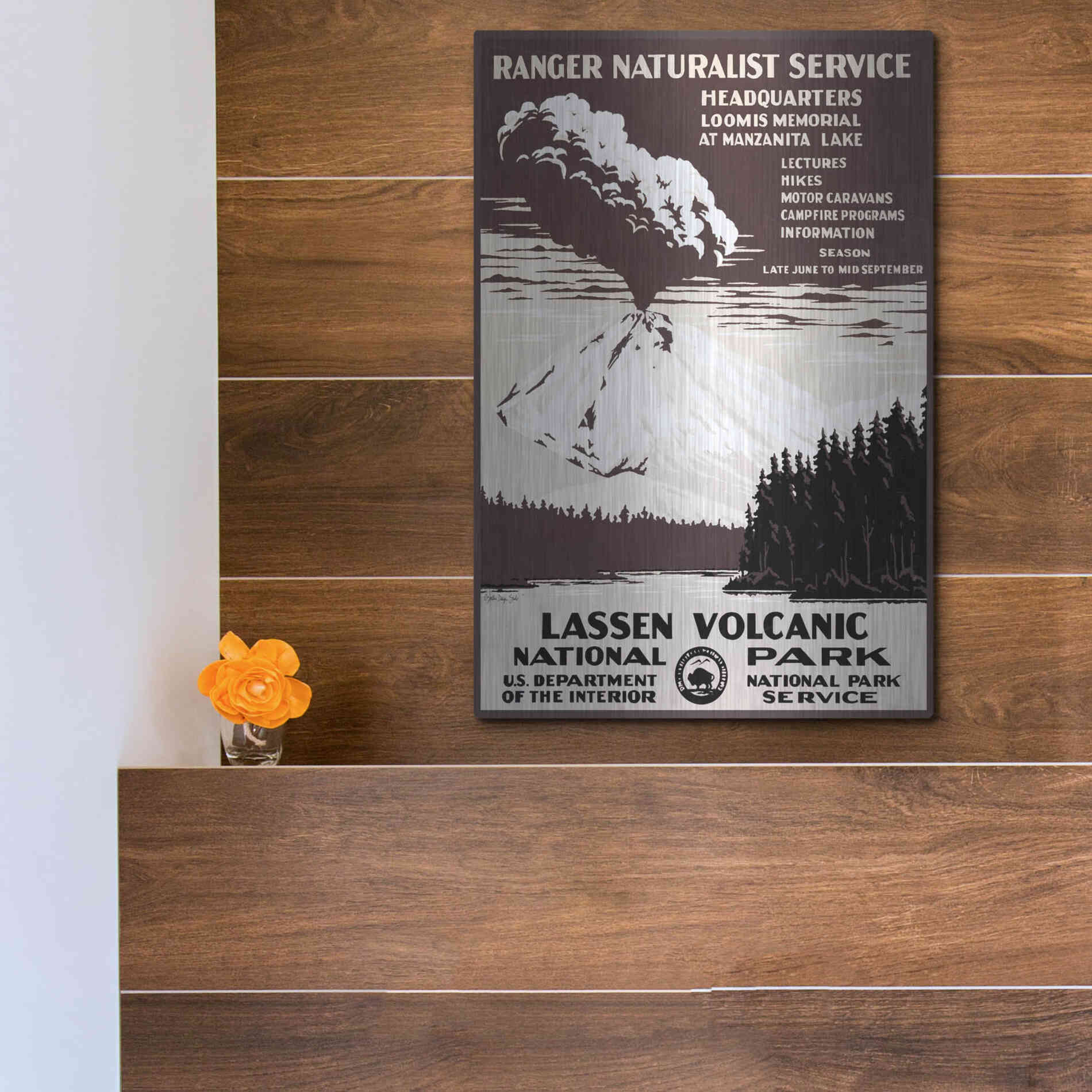 Luxe Metal Art 'Lessen Volcanic Park' by Stellar Design Studio, Metal Wall Art,12x16
