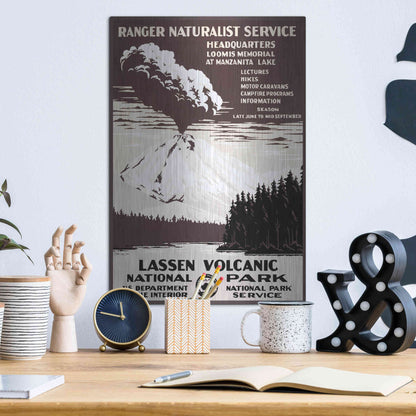 Luxe Metal Art 'Lessen Volcanic Park' by Stellar Design Studio, Metal Wall Art,12x16