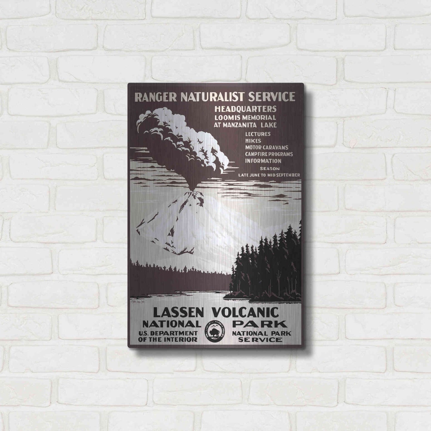 Luxe Metal Art 'Lessen Volcanic Park' by Stellar Design Studio, Metal Wall Art,16x24