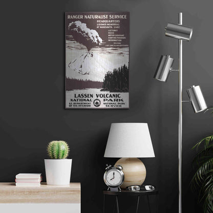 Luxe Metal Art 'Lessen Volcanic Park' by Stellar Design Studio, Metal Wall Art,16x24