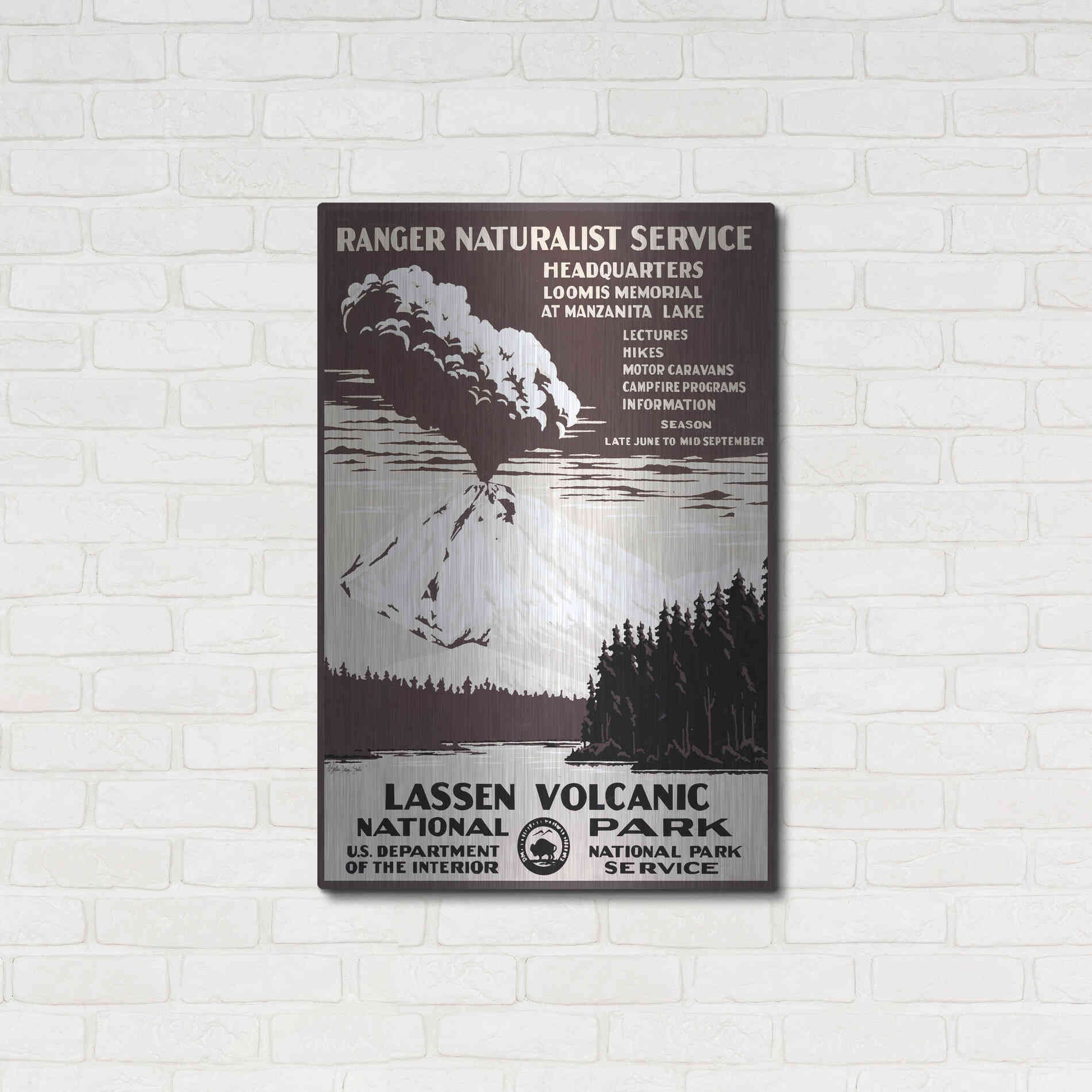 Luxe Metal Art 'Lessen Volcanic Park' by Stellar Design Studio, Metal Wall Art,24x36