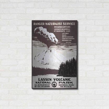 Luxe Metal Art 'Lessen Volcanic Park' by Stellar Design Studio, Metal Wall Art,24x36