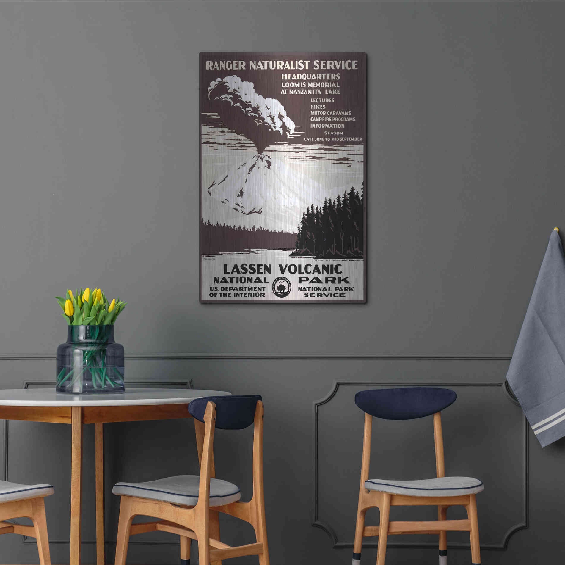Luxe Metal Art 'Lessen Volcanic Park' by Stellar Design Studio, Metal Wall Art,24x36