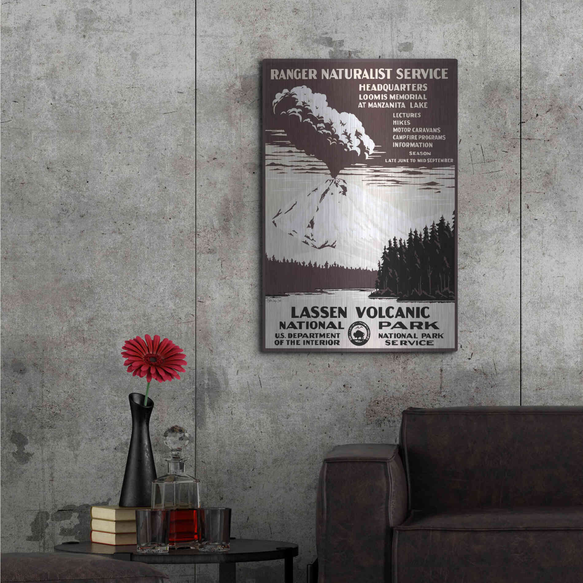 Luxe Metal Art 'Lessen Volcanic Park' by Stellar Design Studio, Metal Wall Art,24x36