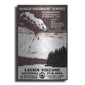 Luxe Metal Art 'Lessen Volcanic Park' by Stellar Design Studio, Metal Wall Art