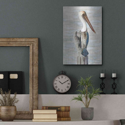 Luxe Metal Art 'Brown Pelican 1' by Stellar Design Studio, Metal Wall Art,12x16