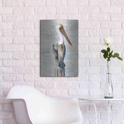 Luxe Metal Art 'Brown Pelican 1' by Stellar Design Studio, Metal Wall Art,16x24