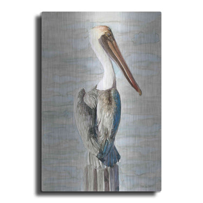 Luxe Metal Art 'Brown Pelican 1' by Stellar Design Studio, Metal Wall Art