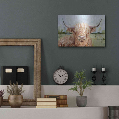 Luxe Metal Art 'Highland Grazer II' by Victoria Borges Metal Wall Art,16x12