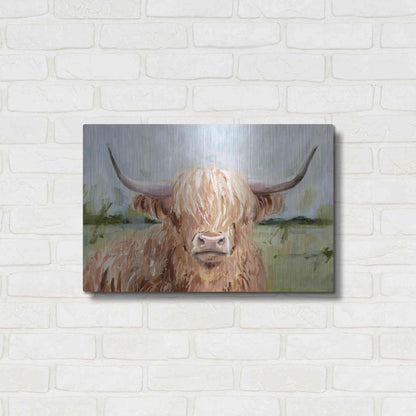 Luxe Metal Art 'Highland Grazer II' by Victoria Borges Metal Wall Art,24x16