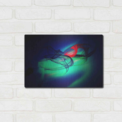 Luxe Metal Art 'Color In The Lines 12' by Irena Orlov, Metal Wall Art,16x12