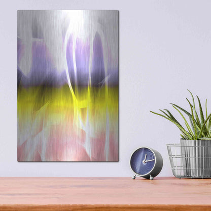 Luxe Metal Art 'Mysterious Light 4' by Irena Orlov, Metal Wall Art,12x16