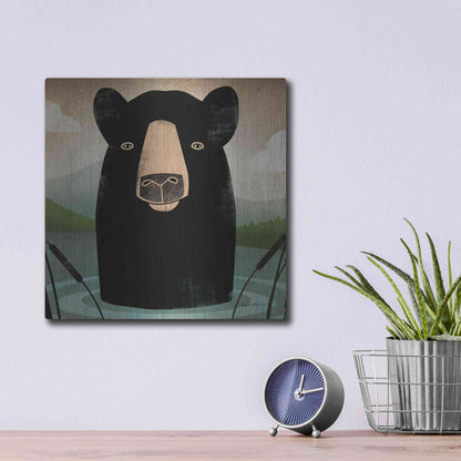 Luxe Metal Art 'Skinny Dip Crop' by Ryan Fowler, Metal Wall Art,12x12