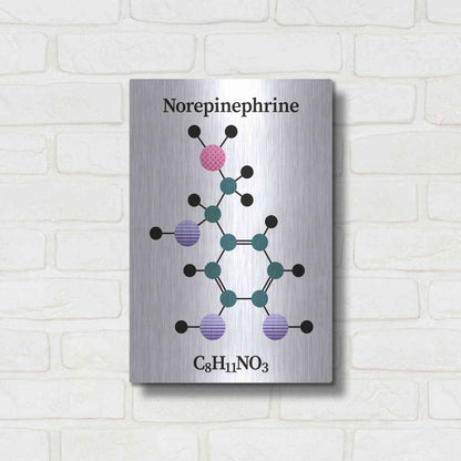 Luxe Metal Art 'Norepinephrine Molecule' by Luxe Portfolio, Metal Wall Art,12x16