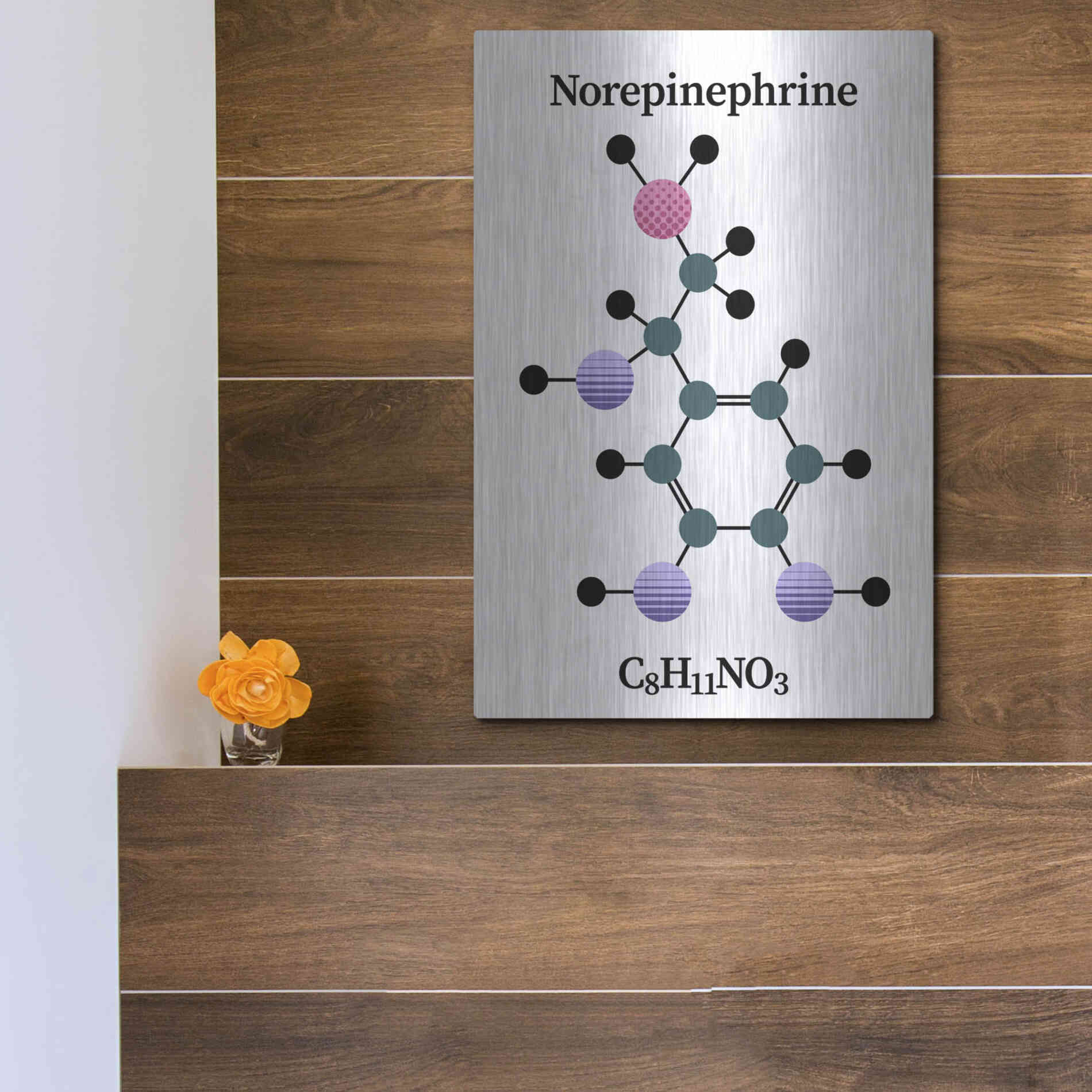 Luxe Metal Art 'Norepinephrine Molecule' by Luxe Portfolio, Metal Wall Art,12x16