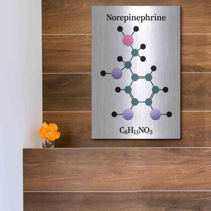 Luxe Metal Art 'Norepinephrine Molecule' by Luxe Portfolio, Metal Wall Art,12x16