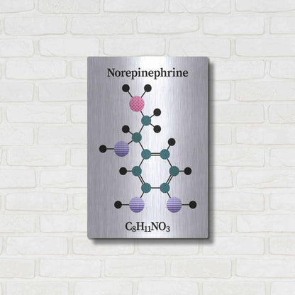 Luxe Metal Art 'Norepinephrine Molecule' by Luxe Portfolio, Metal Wall Art,16x24