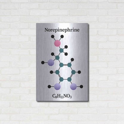 Luxe Metal Art 'Norepinephrine Molecule' by Luxe Portfolio, Metal Wall Art,24x36