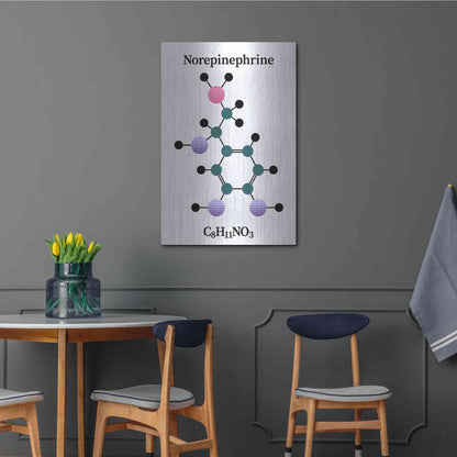 Luxe Metal Art 'Norepinephrine Molecule' by Luxe Portfolio, Metal Wall Art,24x36
