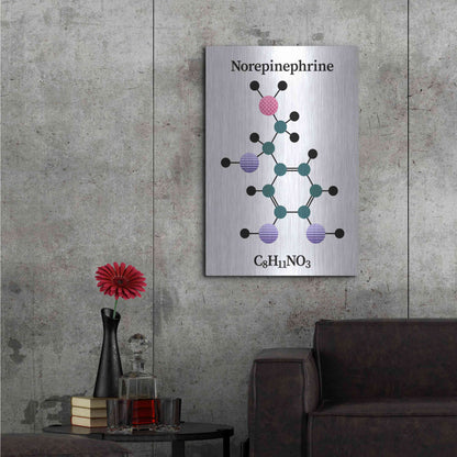 Luxe Metal Art 'Norepinephrine Molecule' by Luxe Portfolio, Metal Wall Art,24x36