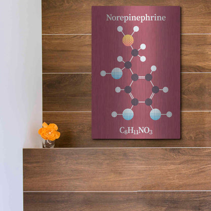 Luxe Metal Art 'Norepinephrine Molecule 2' by Luxe Portfolio, Metal Wall Art,12x16