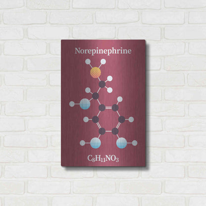 Luxe Metal Art 'Norepinephrine Molecule 2' by Luxe Portfolio, Metal Wall Art,16x24