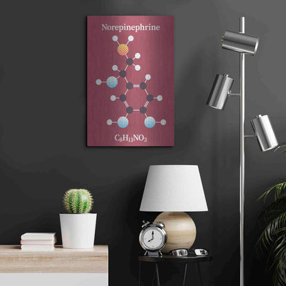 Luxe Metal Art 'Norepinephrine Molecule 2' by Luxe Portfolio, Metal Wall Art,16x24