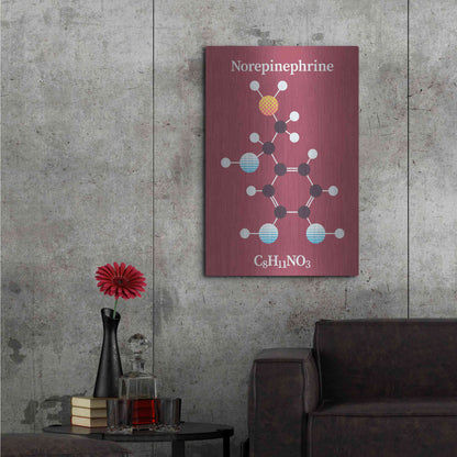 Luxe Metal Art 'Norepinephrine Molecule 2' by Luxe Portfolio, Metal Wall Art,24x36