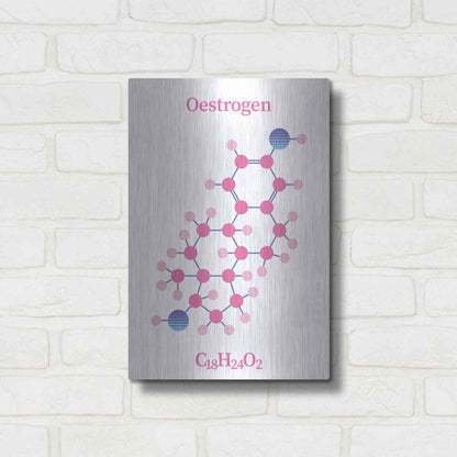 Luxe Metal Art 'Oestrogen Molecule' by Luxe Portfolio, Metal Wall Art,12x16