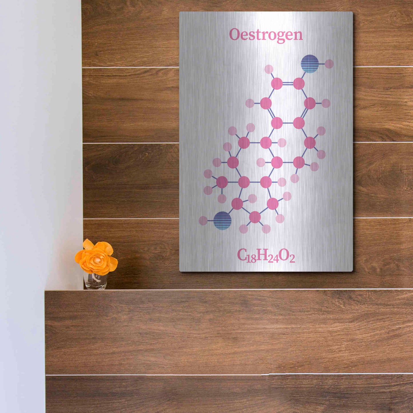 Luxe Metal Art 'Oestrogen Molecule' by Luxe Portfolio, Metal Wall Art,12x16