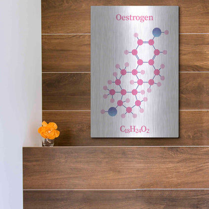 Luxe Metal Art 'Oestrogen Molecule' by Luxe Portfolio, Metal Wall Art,12x16