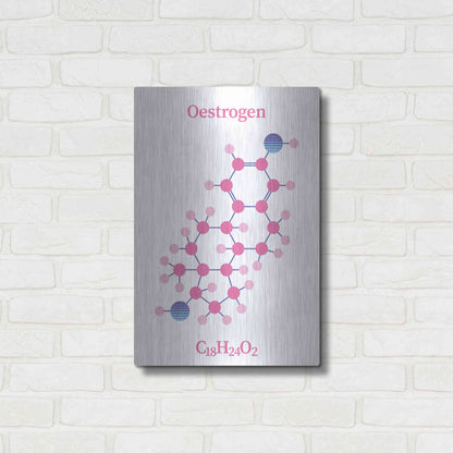 Luxe Metal Art 'Oestrogen Molecule' by Luxe Portfolio, Metal Wall Art,16x24