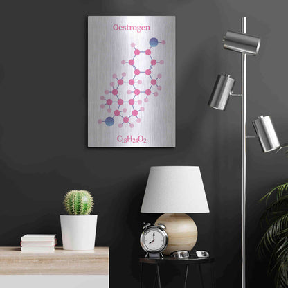 Luxe Metal Art 'Oestrogen Molecule' by Luxe Portfolio, Metal Wall Art,16x24