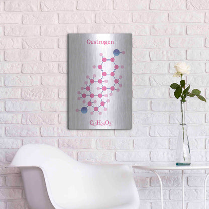 Luxe Metal Art 'Oestrogen Molecule' by Luxe Portfolio, Metal Wall Art,16x24