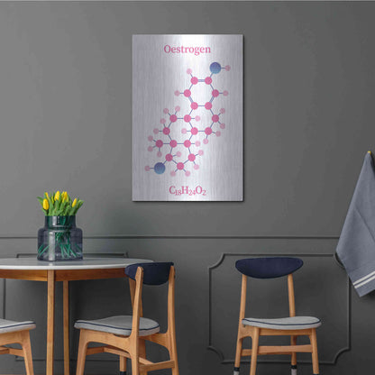 Luxe Metal Art 'Oestrogen Molecule' by Luxe Portfolio, Metal Wall Art,24x36