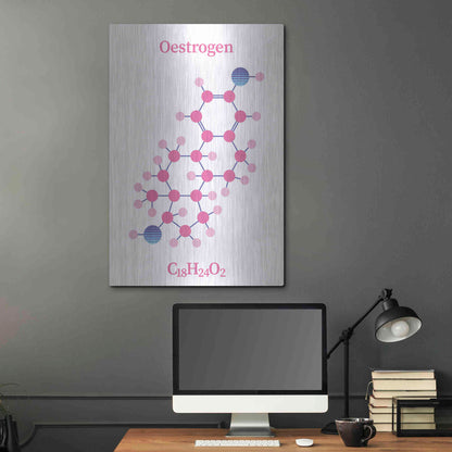 Luxe Metal Art 'Oestrogen Molecule' by Luxe Portfolio, Metal Wall Art,24x36