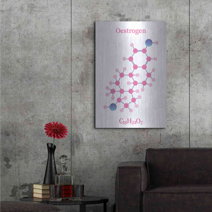 Luxe Metal Art 'Oestrogen Molecule' by Luxe Portfolio, Metal Wall Art,24x36