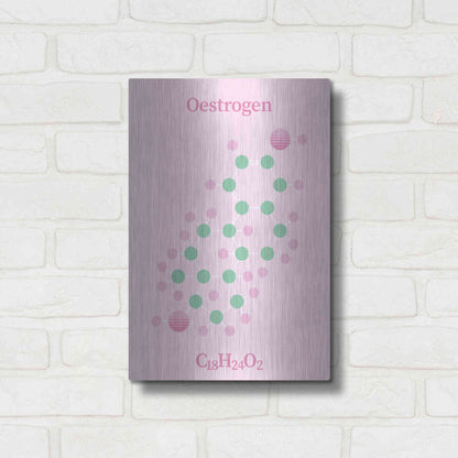 Luxe Metal Art 'Oestrogen Molecule 2' by Luxe Portfolio, Metal Wall Art,12x16