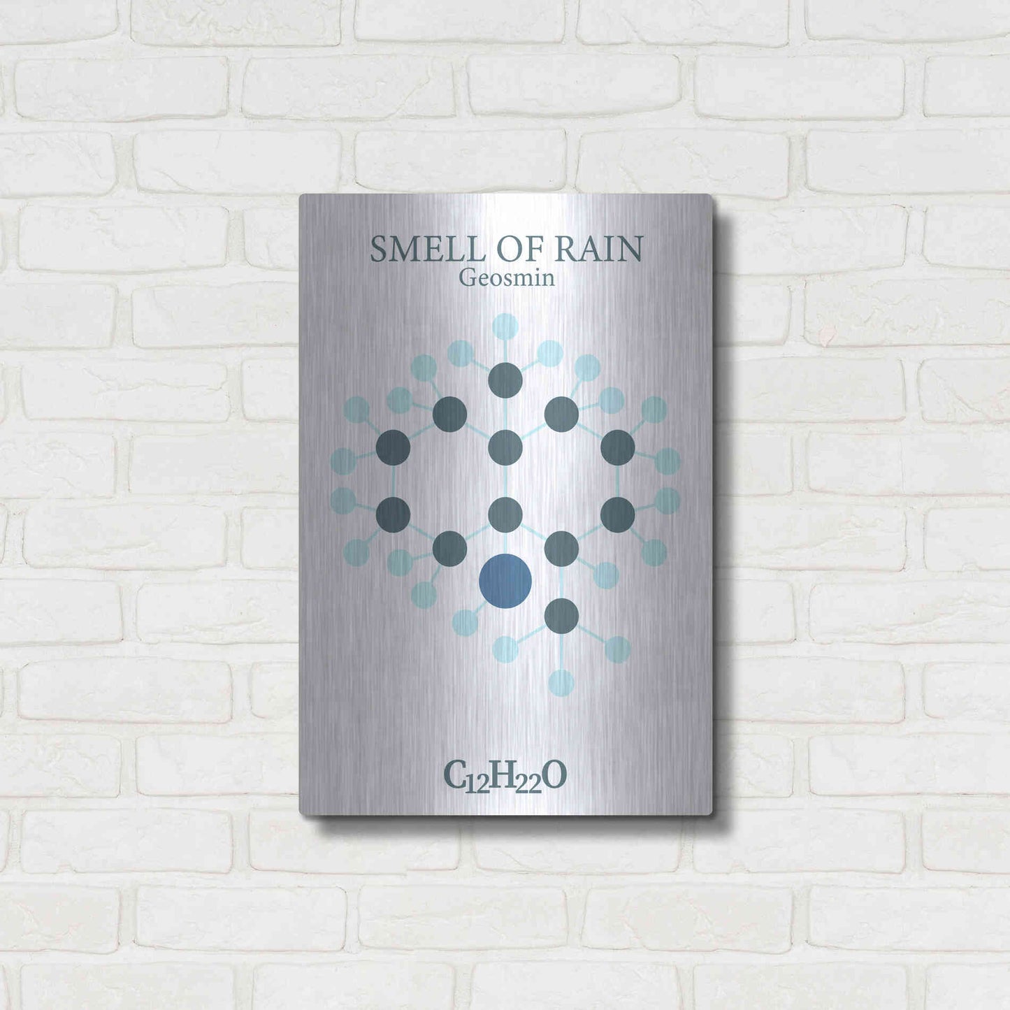 Luxe Metal Art 'Smell Of Rain Molecule' by Luxe Portfolio, Metal Wall Art,16x24