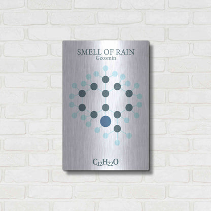 Luxe Metal Art 'Smell Of Rain Molecule' by Luxe Portfolio, Metal Wall Art,16x24