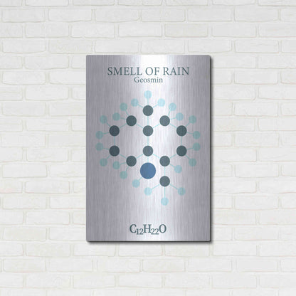 Luxe Metal Art 'Smell Of Rain Molecule' by Luxe Portfolio, Metal Wall Art,24x36